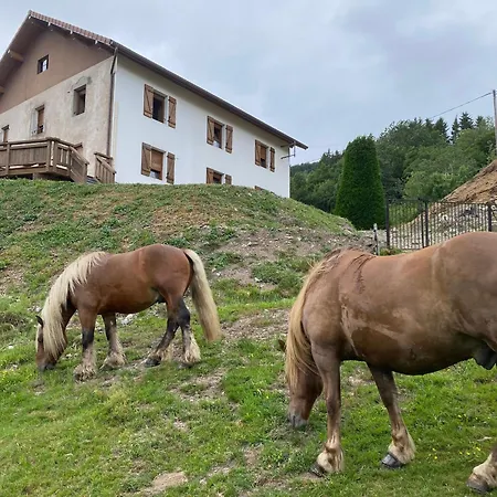 Spacieux A Bussang, Pour 10 Personnes - Fr-1-589-831 Ferienhaus Bussang